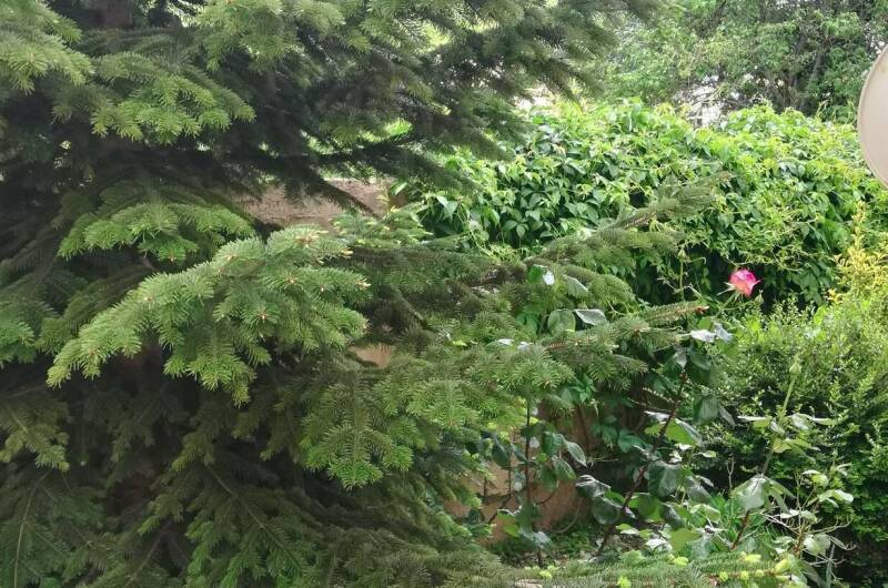 Изображение Изображение гостиницы &quot;Гостевой дом «У Александра»&quot; #3 #3