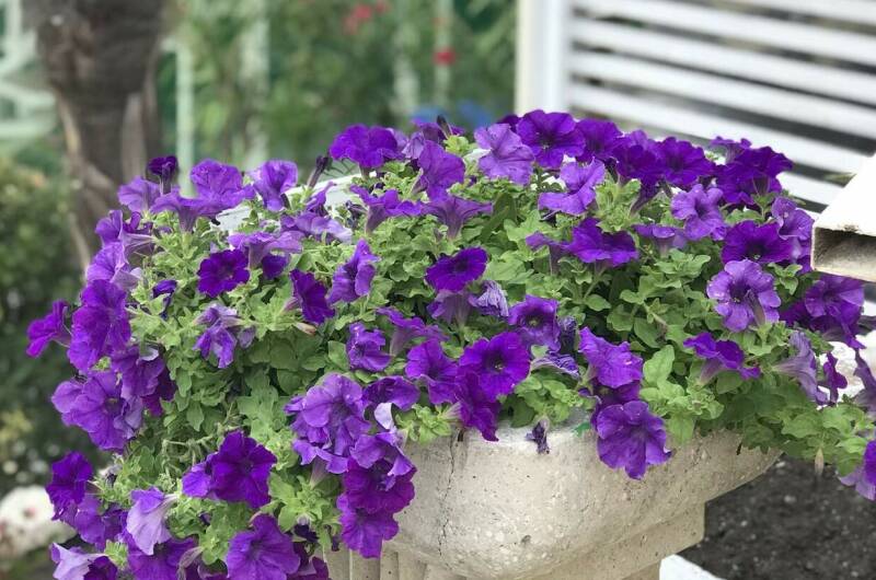 Изображение Изображение гостиницы &quot;Отель «Dadayan»&quot; #3 #3