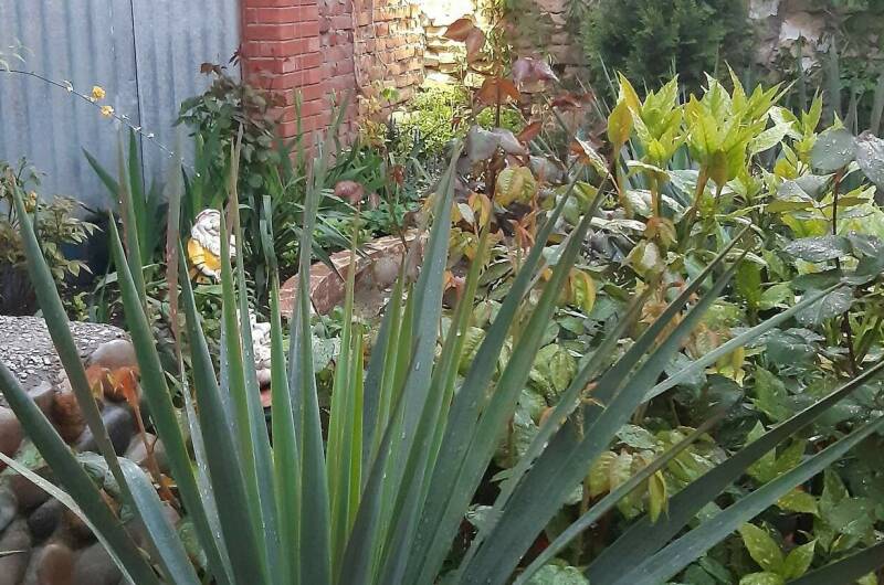 Изображение Изображение гостиницы &quot;Частный дом «Поцелуй солнца»&quot; #7 #7