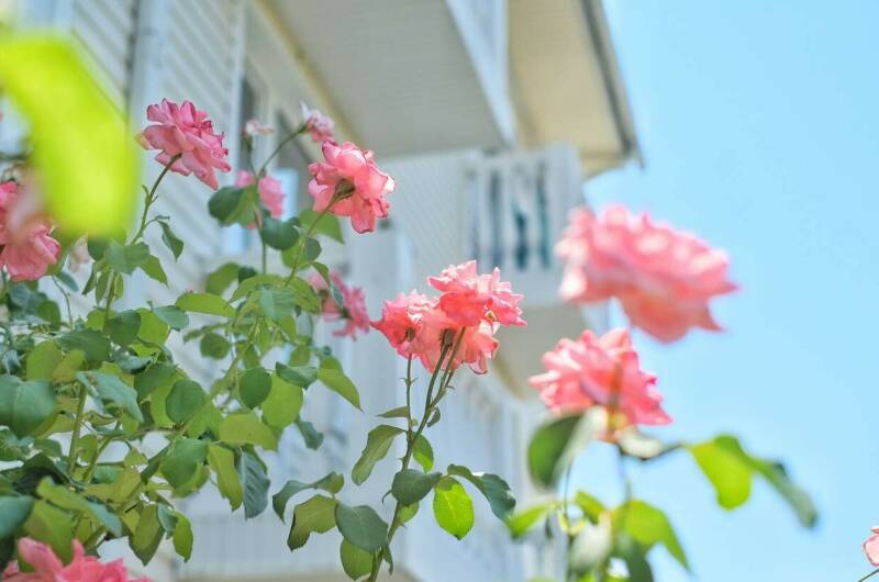 Изображение Изображение гостиницы &quot;Гостевой дом «Век»&quot; #4 #4