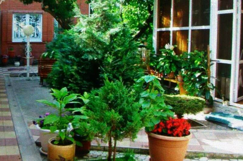 Изображение Изображение отеля / гостиницы "Гостевой дом «Талия»" #11 #9