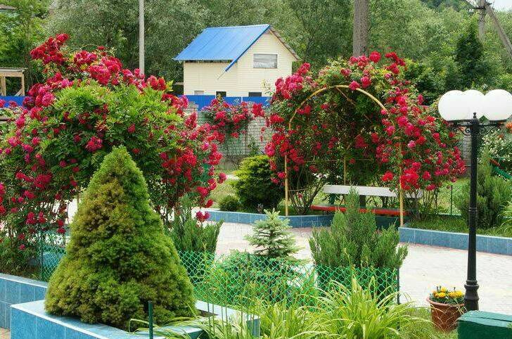 Изображение Изображение гостиницы &quot;Частная гостиница «Оазис»&quot; #7 #7