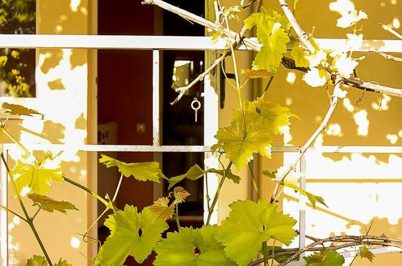 Изображение Изображение отеля / гостиницы "Частный сектор «У Нины»" #10 #8