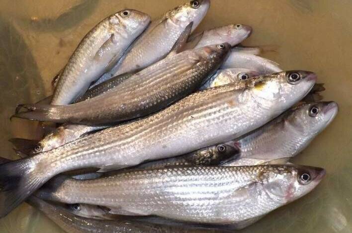 Изображение Изображение гостиницы &quot;Гостевой дом «Маяк»&quot; #6 #6