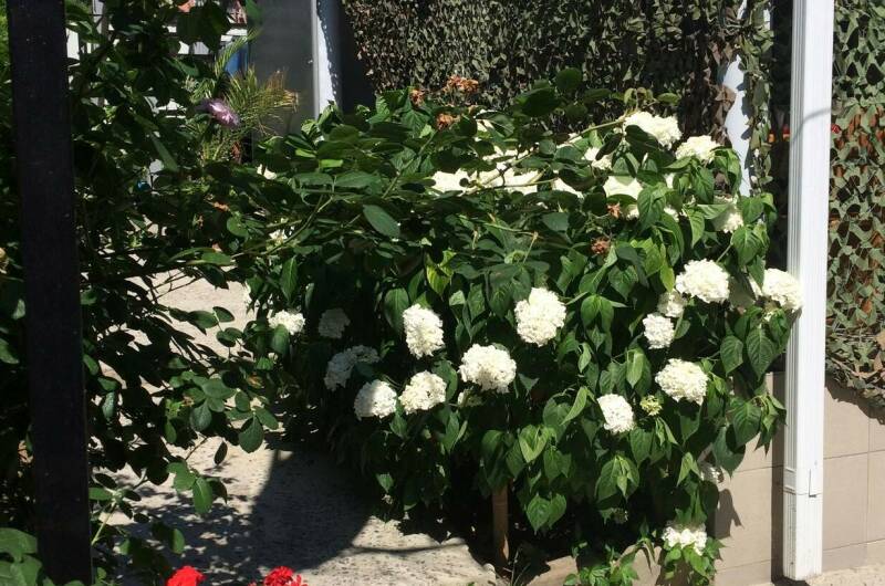 Изображение Изображение квартиры &quot;Коттедж под ключ «Мини Рио»&quot; #7 #7