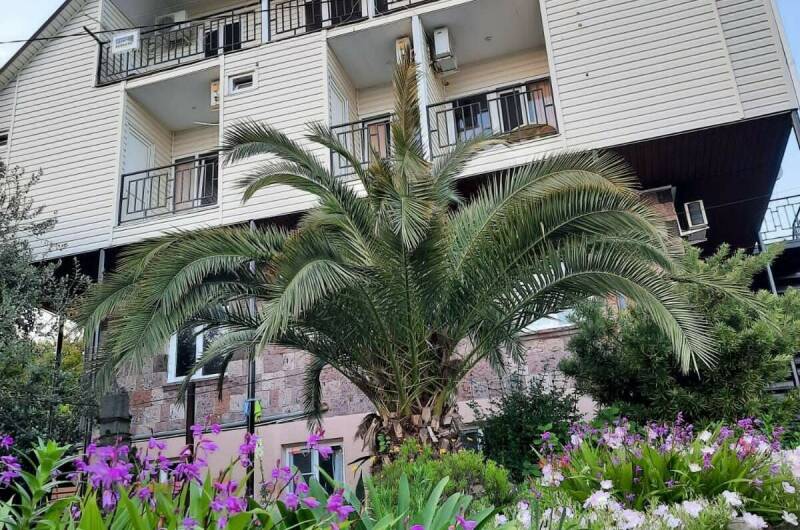 Изображение Изображение гостиницы "Гостевой дом «Флора»" #1 #1