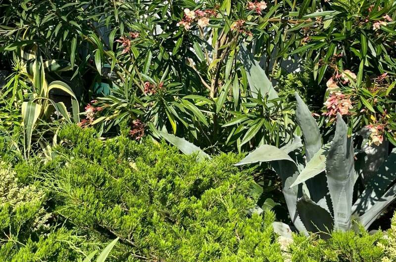 Изображение Изображение гостиницы "Гостевой дом «Флора»" #4 #4