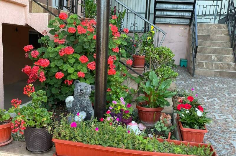 Изображение Изображение гостиницы "Гостевой дом «Флора»" #6 #6