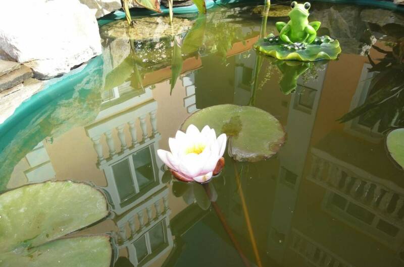 Изображение Изображение отеля / гостиницы "Гостевой дом «Гриновские Берега»" #11 #9