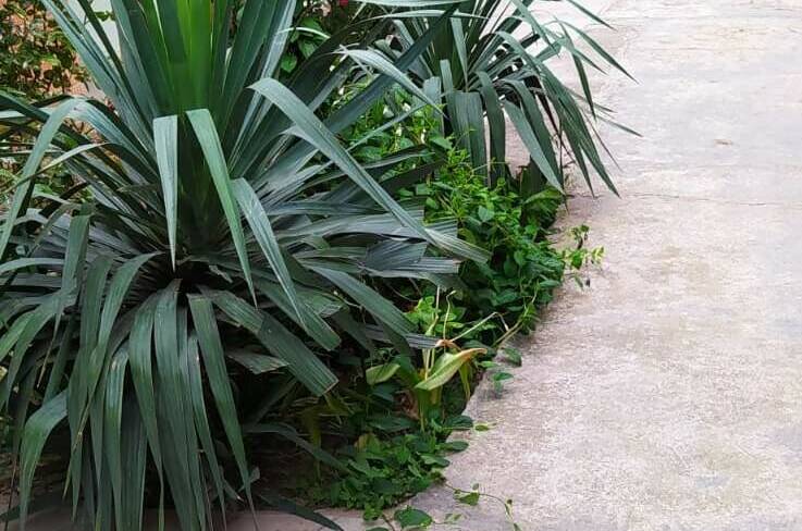 Изображение Изображение гостиницы &quot;Частный сектор «Сирень»&quot; #4 #4