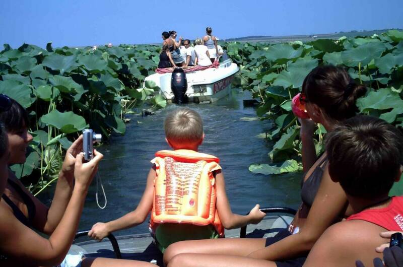 Изображение Изображение гостиницы &quot;Частный дом «Морской»&quot; #4 #4