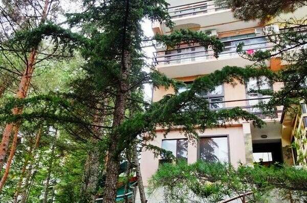 Изображение Изображение гостиницы "База отдыха «Мечта»" #6 #6