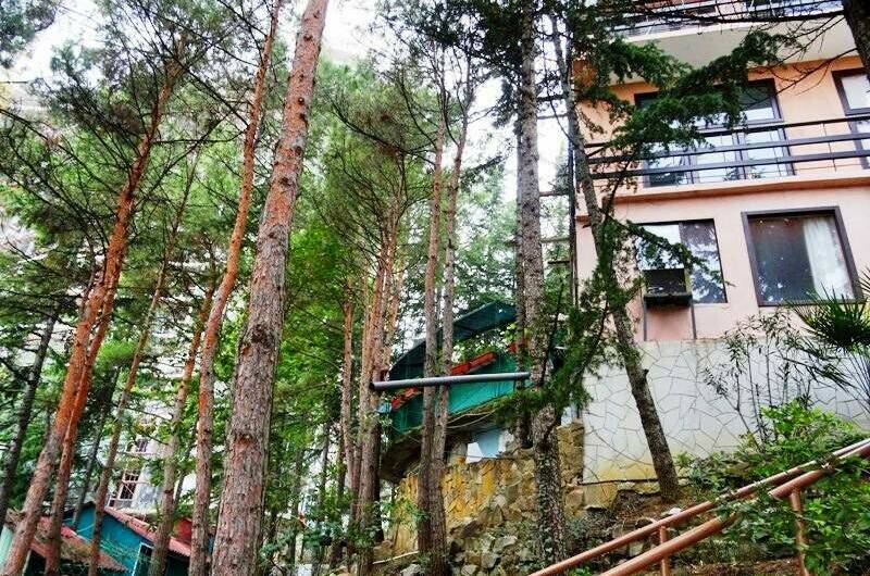 Изображение Изображение гостиницы "База отдыха «Мечта»" #8 #8