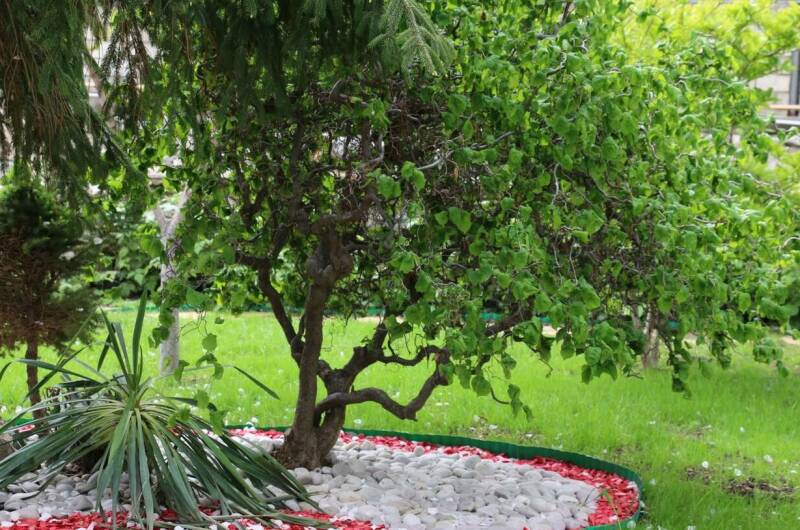 Изображение Изображение гостиницы &quot;Гостевой дом «7up»&quot; #2 #2