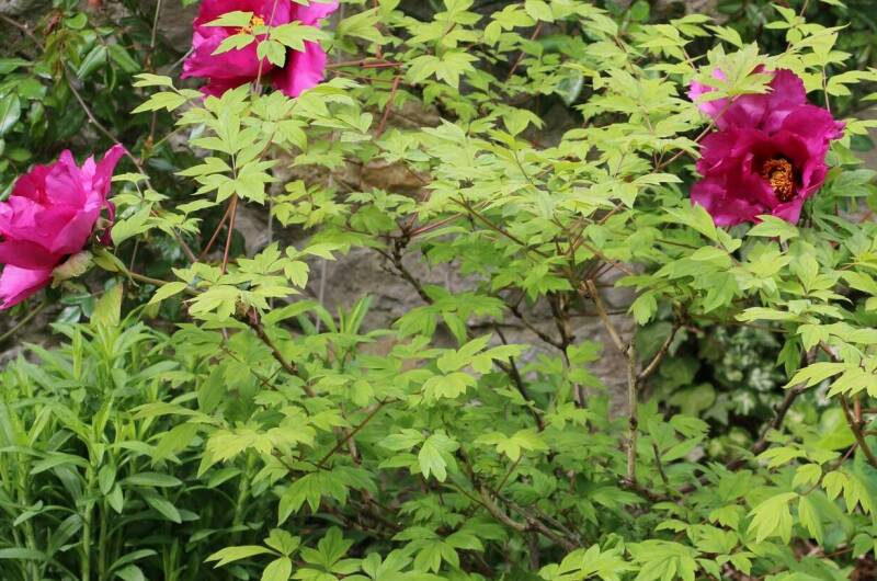 Изображение Изображение гостиницы &quot;Гостевой дом «7up»&quot; #3 #3