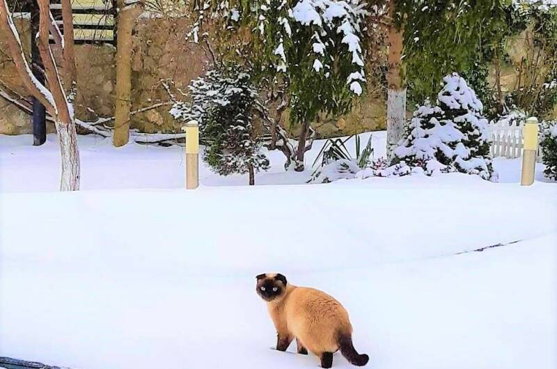 Изображение Изображение гостиницы &quot;Гостевой дом «7up»&quot; #4 #4