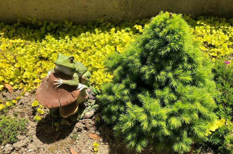 Изображение Изображение гостиницы "Гостевой дом «Енисей»" #8 #8