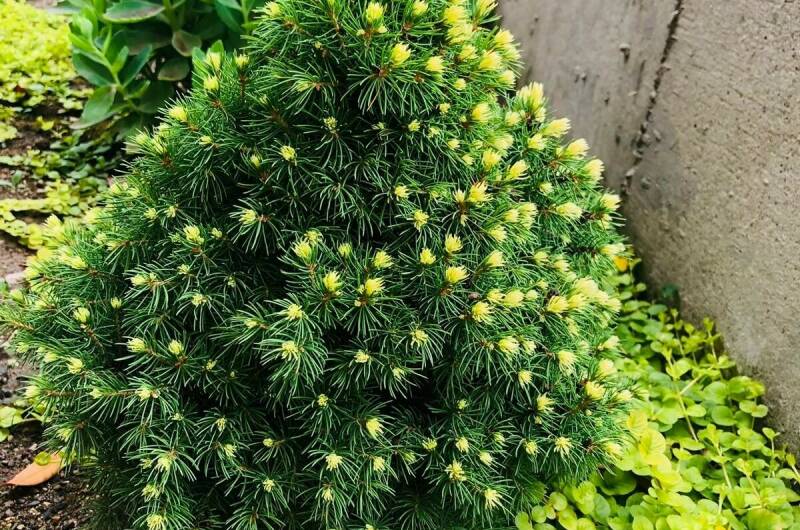 Изображение Изображение отеля / гостиницы "Гостевой дом «Енисей»" #11 #9