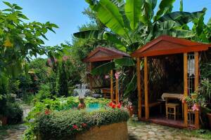 Изображение Солоников #2