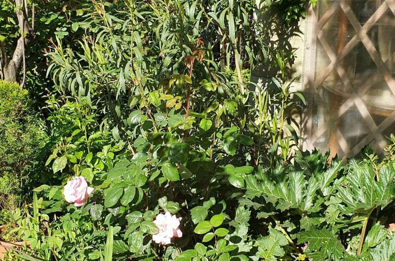 Изображение Изображение гостиницы &quot;Гостевой дом «Алиса»&quot; #3 #3