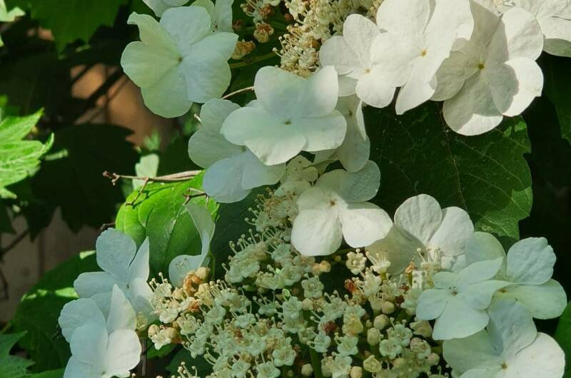 Изображение Изображение гостиницы &quot;Гостевой дом «Алиса»&quot; #5 #5