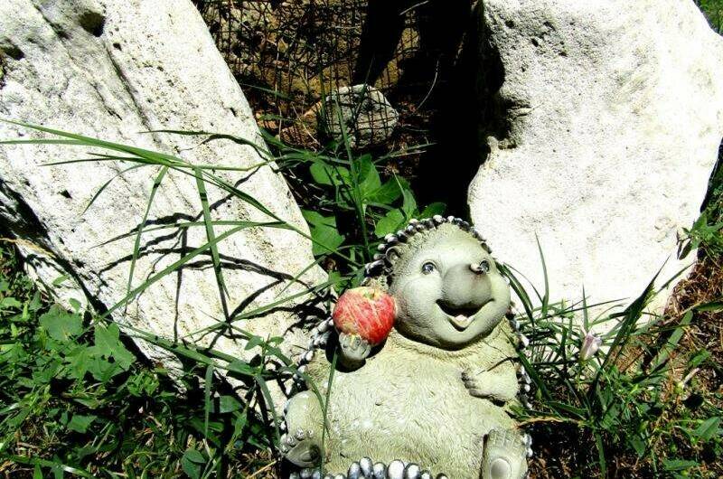 Изображение Изображение гостиницы &quot;Гостевой дом «Избушка»&quot; #7 #7