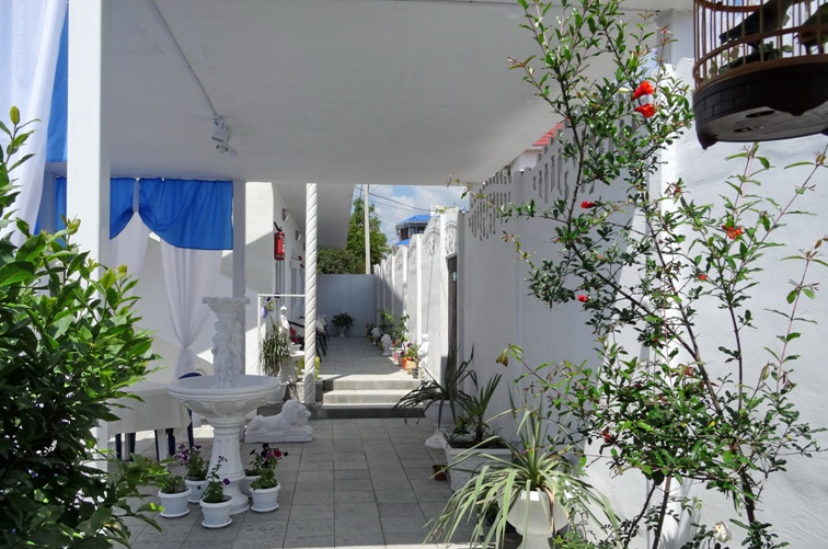 Изображение Изображение гостиницы &quot;Гостевой дом «Росинка»&quot; #1 #1