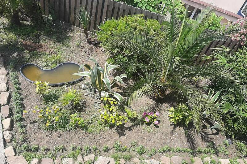 Изображение Изображение гостиницы "Гостевой дом «Жемчужина»" #7 #7