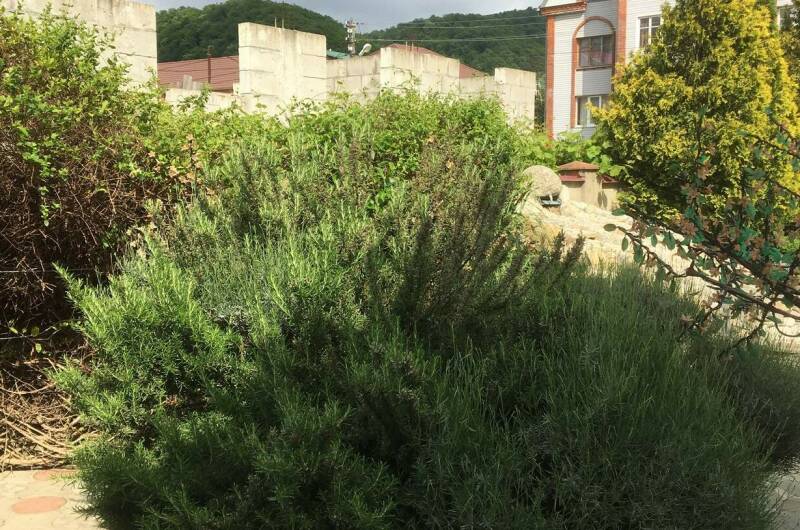 Изображение Изображение гостиницы &quot;Гостевой дом «Уют»&quot; #3 #3