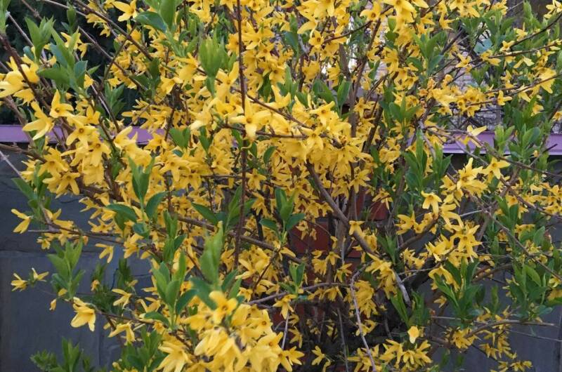 Изображение Изображение отеля / гостиницы "Гостевой дом «Уют»" #10 #8