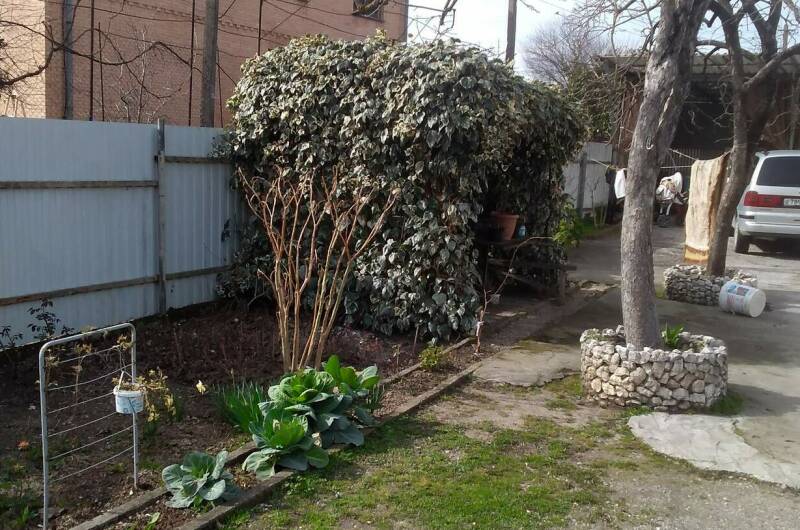 Изображение Изображение гостиницы "Частный сектор «Ольгинка»" #3 #3