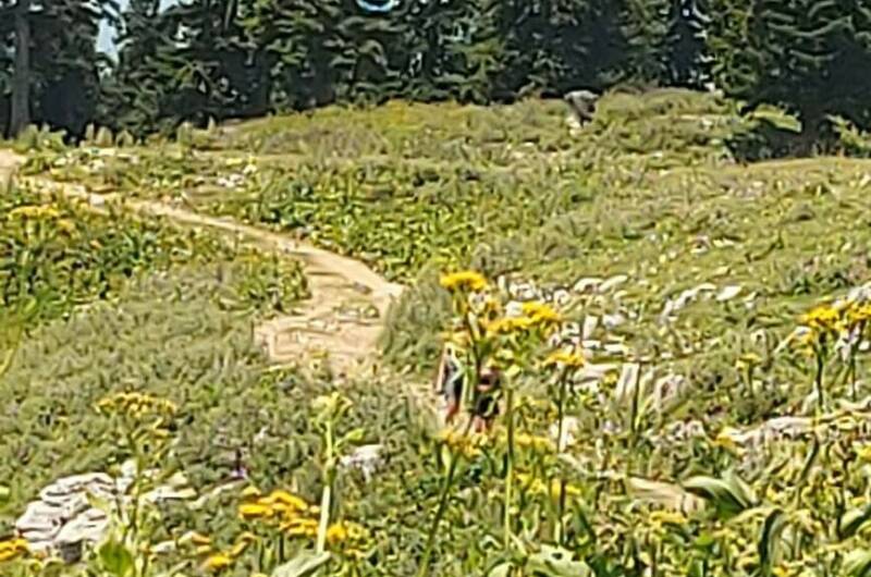 Изображение Изображение гостиницы "Частный сектор «Ольгинка»" #8 #8