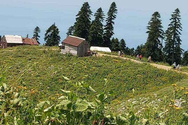 Изображение Изображение отеля / гостиницы "Частный сектор «Ольгинка»" #11 #9