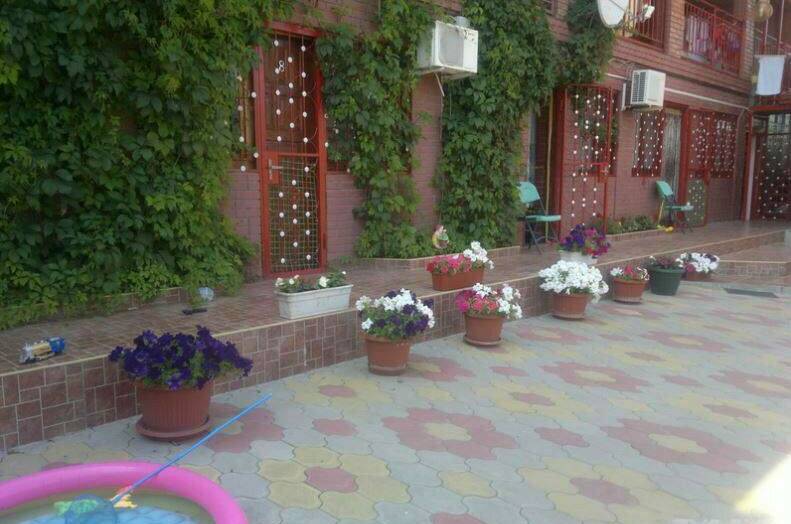 Изображение Изображение гостиницы "Частный сектор «Айхал»" #4 #4