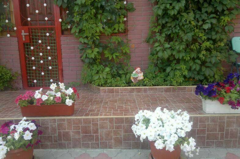 Изображение Изображение гостиницы "Частный сектор «Айхал»" #8 #8