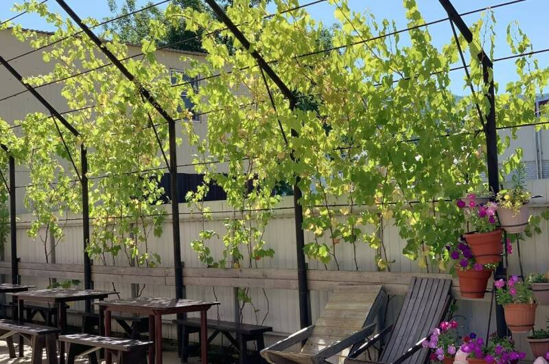 Изображение Изображение гостиницы &quot;Гостевой дом «Tatyana»&quot; #4 #4