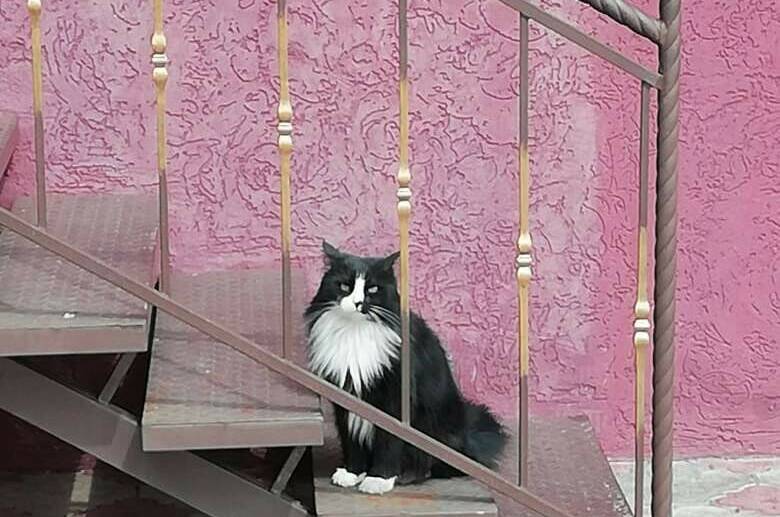 Изображение Изображение гостиницы &quot;Гостевой дом «Югра»&quot; #3 #3