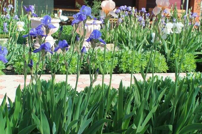 Изображение Изображение гостиницы &quot;Гостевой дом «Югра»&quot; #6 #6