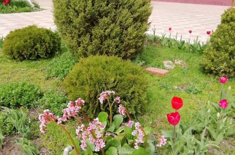 Изображение Изображение отеля / гостиницы "Гостевой дом «Югра»" #10 #8