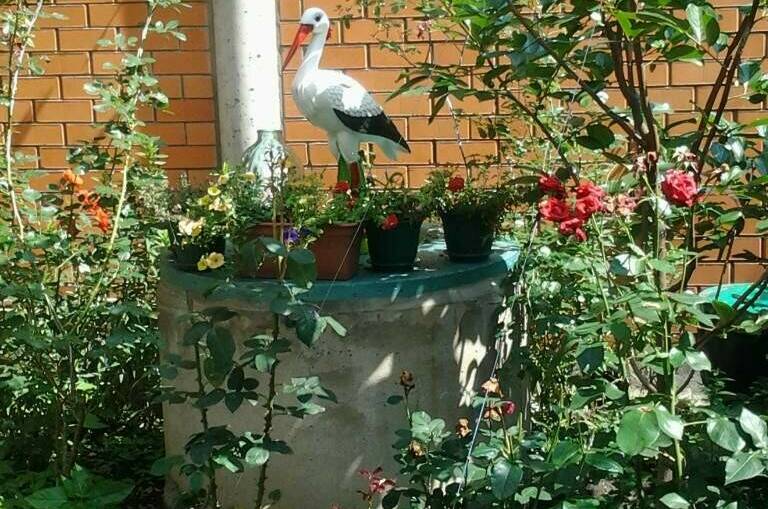 Изображение Изображение гостиницы &quot;Частный сектор «Мелания»&quot; #2 #2