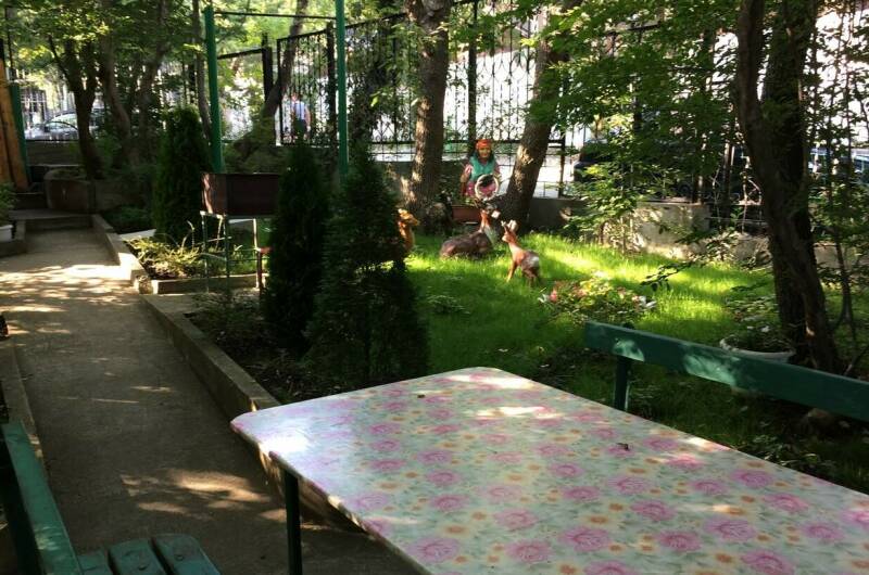 Изображение Изображение гостиницы &quot;Частный сектор «Мелания»&quot; #5 #5