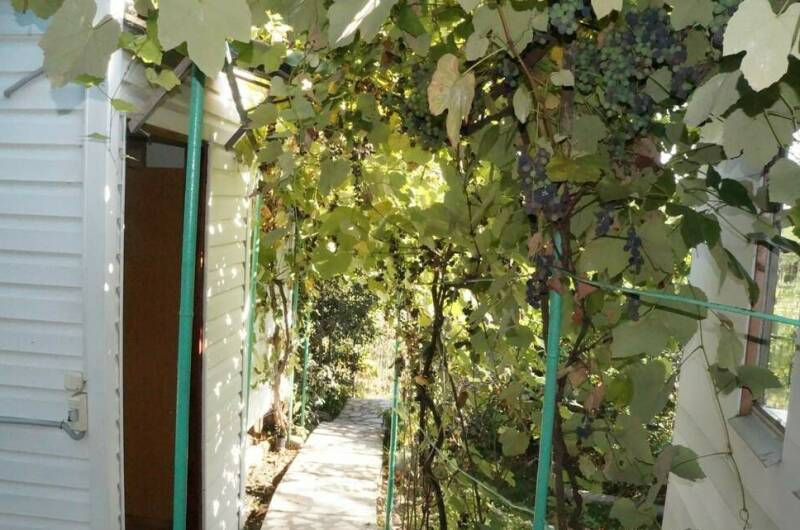 Изображение Изображение гостиницы &quot;Гостевой дом «Зеленый дворик»&quot; #4 #4