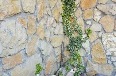 Изображение Изображение отеля / гостиницы "Гостевой дом «У Грека»" #11 #9