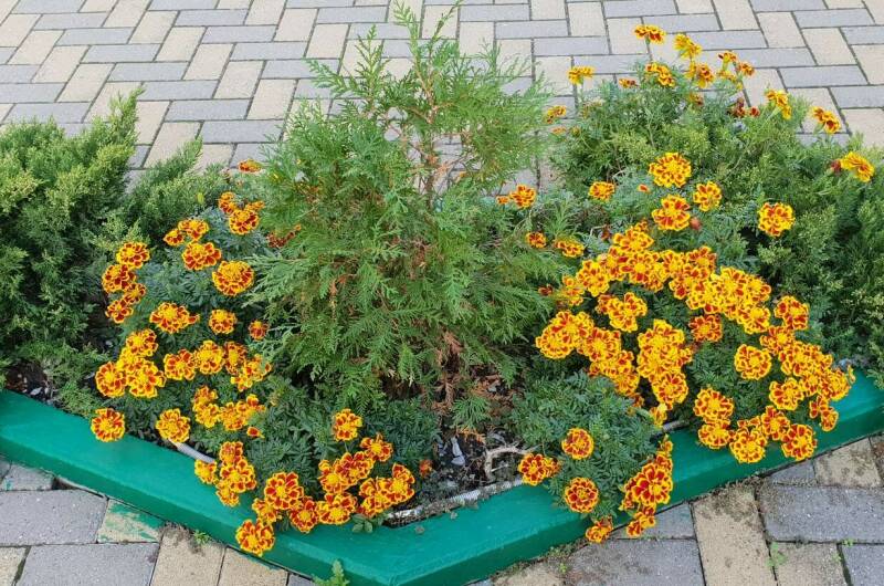 Изображение Изображение гостиницы "Гостевой дом «Семейный»" #8 #8