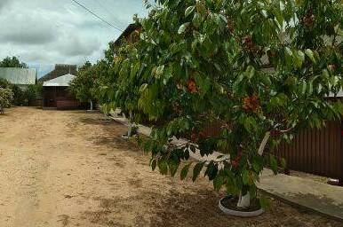 Изображение Изображение гостиницы "Частный дом «Инесса»" #5 #5