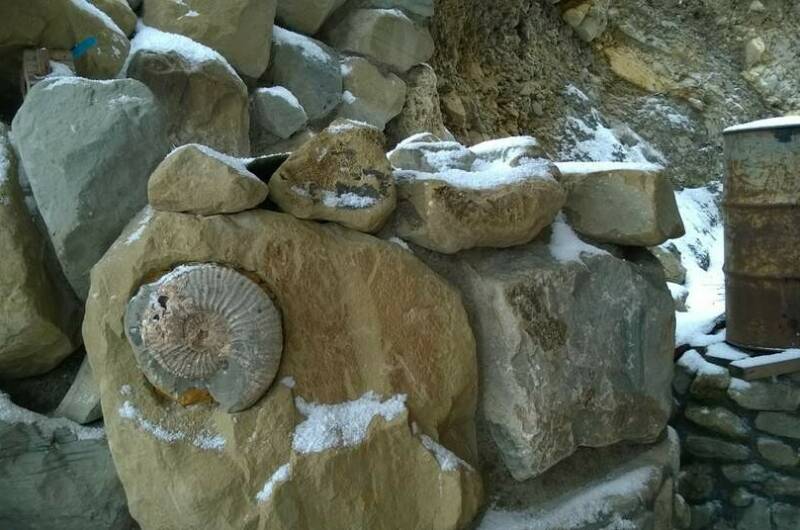 Изображение Изображение гостиницы &quot;Гостевой дом «Эра»&quot; #2 #2