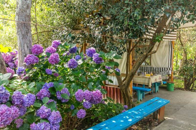 Изображение Изображение гостиницы "Гостевой дом «У Татьяны»" #2 #2