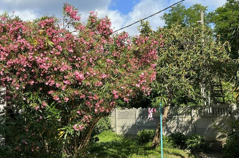 Изображение Изображение гостиницы "Гостевой дом «У Татьяны»" #3 #3