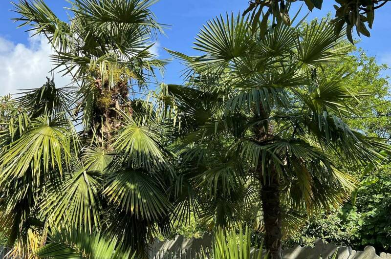 Изображение Изображение гостиницы "Гостевой дом «У Татьяны»" #5 #5