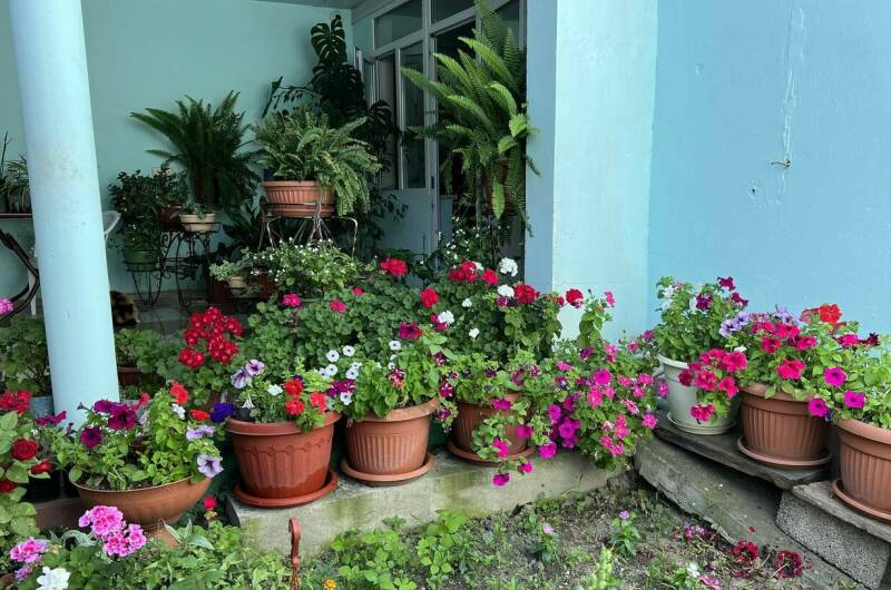 Изображение Изображение гостиницы "Гостевой дом «У Татьяны»" #6 #6